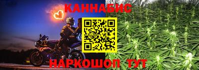 стафф Шелехов