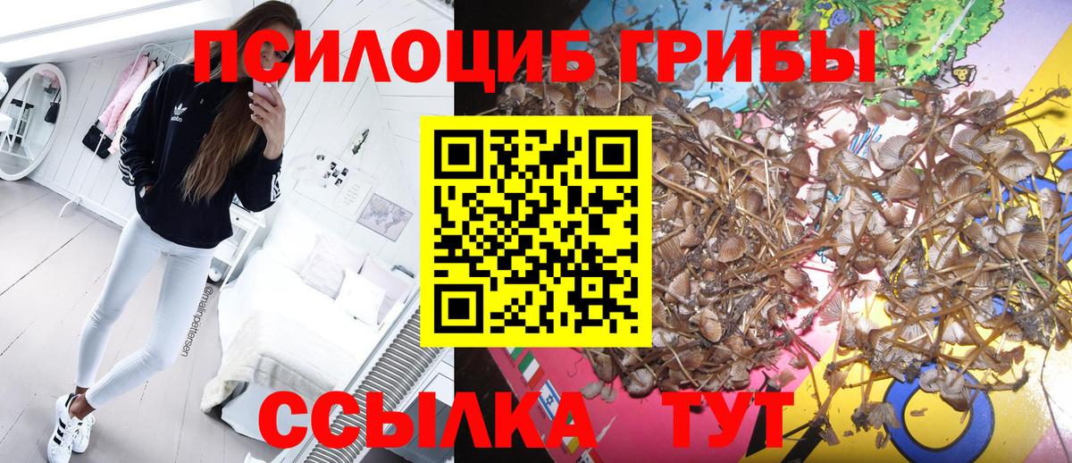 Псилоцибиновые грибы MAGIC MUSHROOMS Ачхой-Мартан